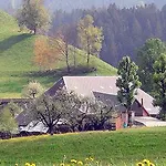 Landgasthof-hotel Adler ホテル *