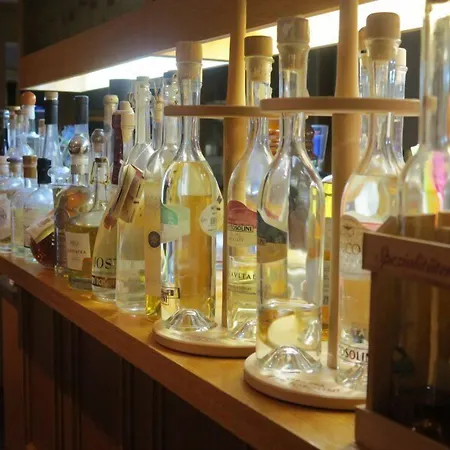 兰德嘎斯霍夫阿德勒酒店 酒店