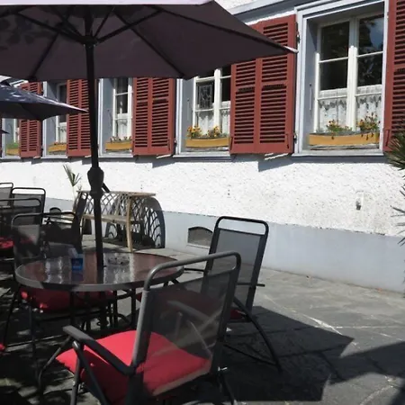 Landgasthof-hotel Adler لانغناو
