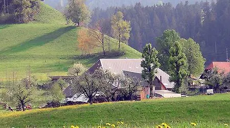 Landgasthof-hotel Adler Hotell *