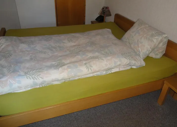 Landgasthof-hotel Adler فندق لانغناو