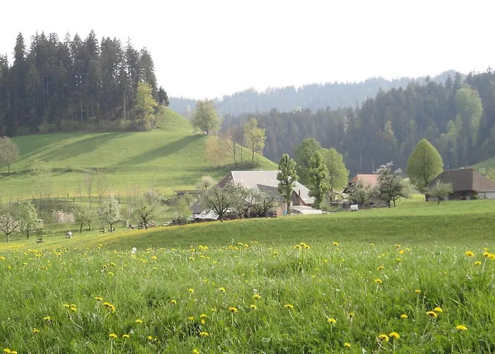 Landgasthof-hotel Adler فندق