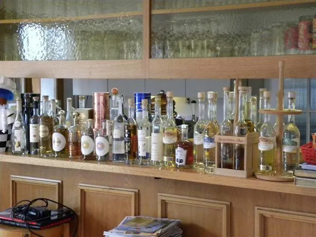 Landgasthof-hotel Adler فندق *