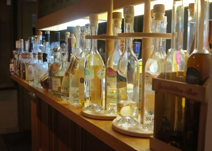 Landgasthof-hotel Adler فندق