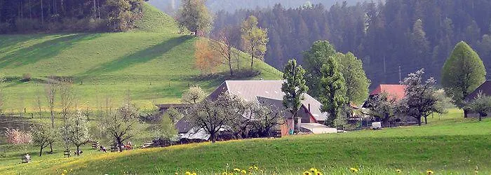 Landgasthof-hotel Adler فندق *
