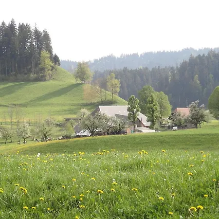 Landgasthof-hotel Adler Hotel