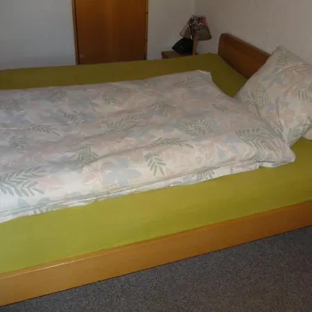 Landgasthof-hotel Adler מלון לנגנאו