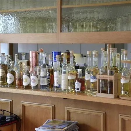 Landgasthof-hotel Adler מלון *