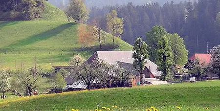 Landgasthof-hotel Adler Hotel *